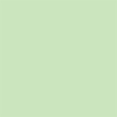 Winsor & Newton Promarker Grafik Kalemi 215 Meadow Green G339