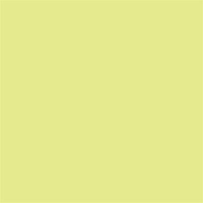 Winsor & Newton Promarker Grafik Kalemi 269 Lime Zest G159