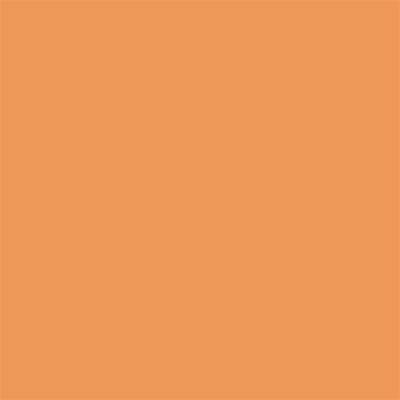 Winsor & Newton Promarker Grafik Kalemi 287 Ginger O136