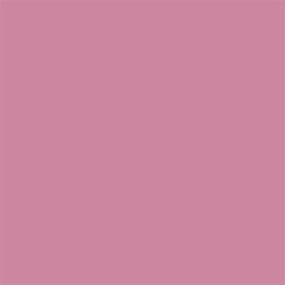 Winsor & Newton Promarker Grafik Kalemi 353 Dusky Rose R327
