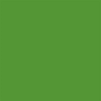 Winsor & Newton Promarker Graphic Pen 068 Forest Green G356
