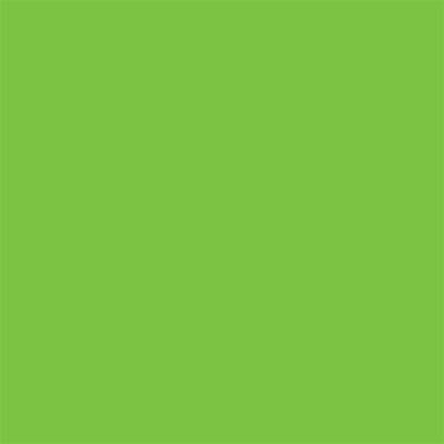 Winsor & Newton Promarker Graphic Pen 069 Bright Green G267