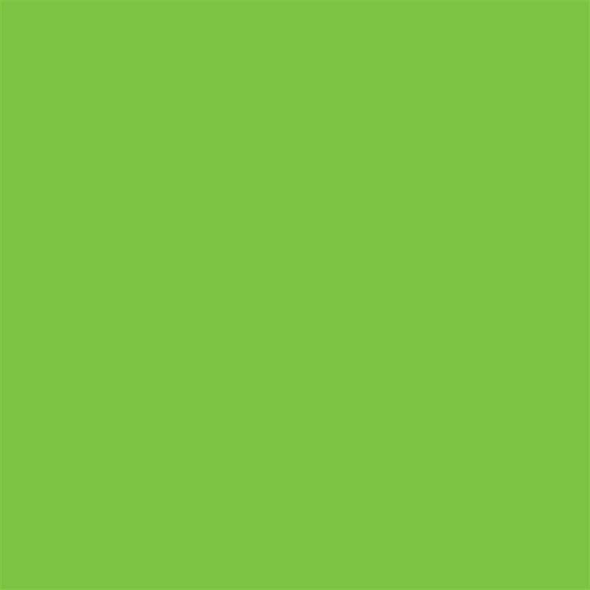 Winsor & Newton Promarker Graphic Pen 069 Bright Green G267 - 2