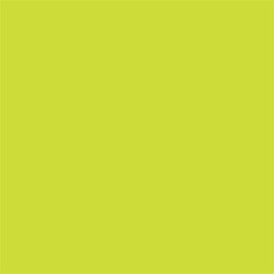 Winsor & Newton Promarker Graphic Pen 071 Lime Green G178