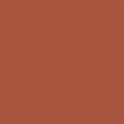 Winsor & Newton Promarker Graphic Pen 076 Burnt Umber R646