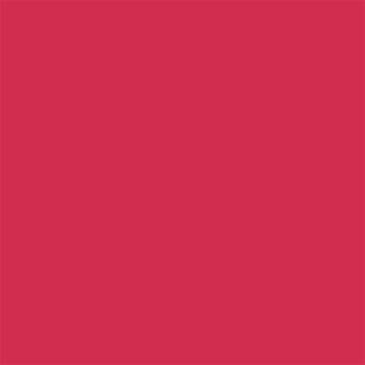 Winsor & Newton Promarker Graphic Pen 170 Ruby R455