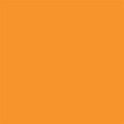 Winsor & Newton Promarker Graphic Pen 195 Amber O567