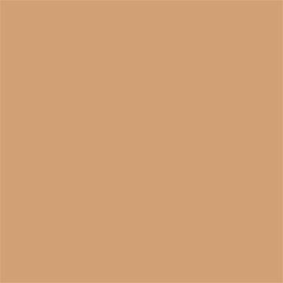 Winsor & Newton Promarker Graphic Pen 199 Cinnamon O427