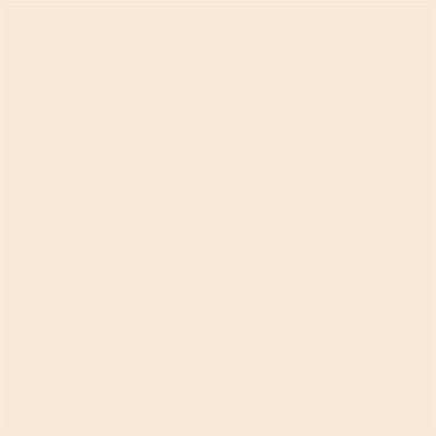 Winsor & Newton Promarker Graphic Pen 216 Almond O819
