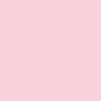 Winsor & Newton Promarker Graphic Pen 220 Pale Pink R519