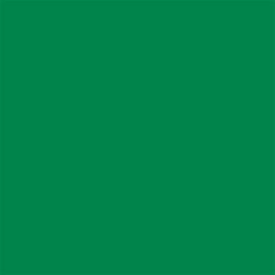 Winsor & Newton Promarker Graphic Pen 228 Lush Green G756