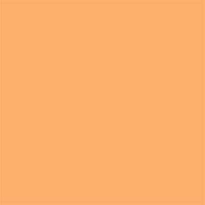 Winsor & Newton Promarker Graphic Pen 255 Apricot O538