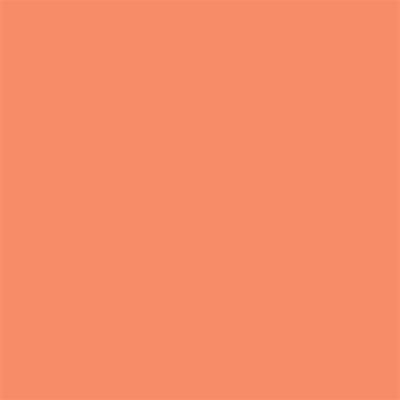 Winsor & Newton Promarker Graphic Pen 270 Peach O148