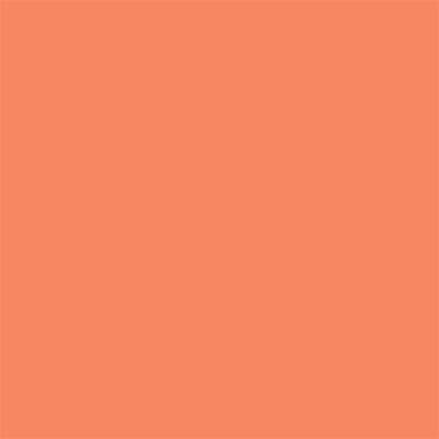 Winsor & Newton Promarker Graphic Pen 271 Mango O248