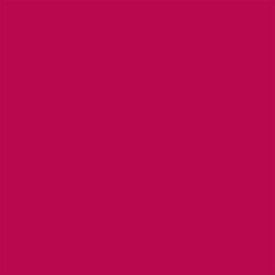 Winsor & Newton Promarker Graphic Pen 273 Cardinal Red R244