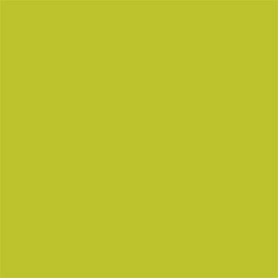 Winsor & Newton Promarker Graphic Pen 297 Pear Green Y635