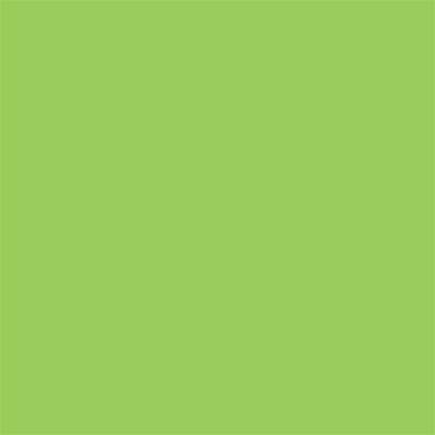 Winsor & Newton Promarker Graphic Pen 341 Leaf Green G258