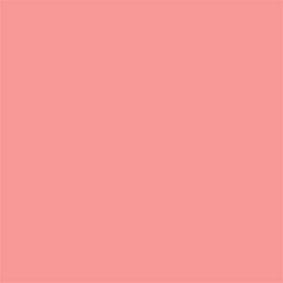 Winsor & Newton Promarker Graphic Pen 367 Salmon Pink R547