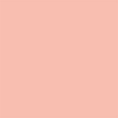 Winsor & Newton Promarker Graphic Pen 370 Soft Peach O138