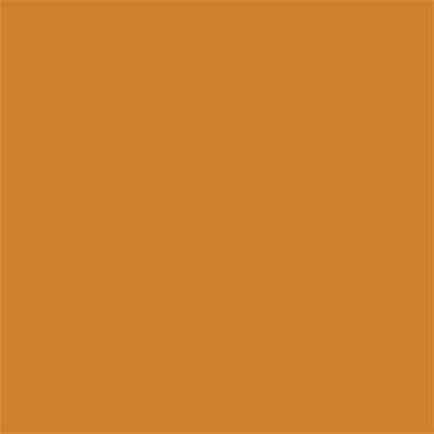 Winsor & Newton Promarker Graphic Pen 552 Raw Sienna O646